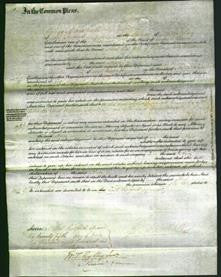 Court of Common Pleas - Ann Hodgkinson-Original Ancestry