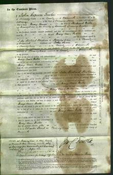 Court of Common Pleas - Mary Anne Mills-Original Ancestry