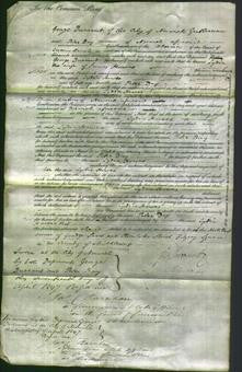 Court of Common Pleas - Lydia Legg Howes-Original Ancestry