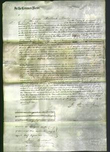 Court of Common Pleas - Florence Raynolds, Elizabeth Sansom and Amelia Edmonds-Original Ancestry