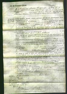 Court of Common Pleas - Amelia Ann Hannaford Edbrooke-Original Ancestry