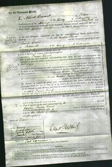 Court of Common Pleas - Caroline Frances Vincent-Original Ancestry