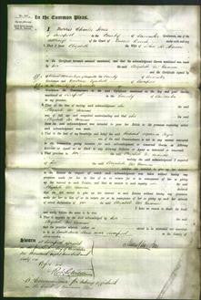 Court of Common Pleas - Elizabeth McMann-Original Ancestry