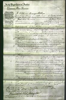Court of Common Pleas - Caroline Brunt-Original Ancestry