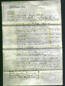 Court of Common Pleas - Charlotte Jane Oldfield-Original Ancestry