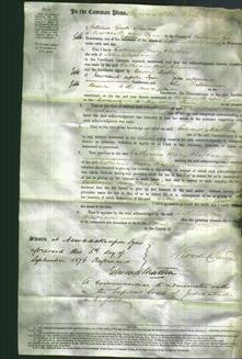 Court of Common Pleas - Catherine Mary Clapham-Original Ancestry