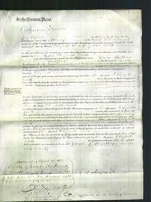 Court of Common Pleas - Elizabeth Leach-Original Ancestry