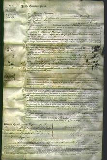 Court of Common Pleas - Ann Dickson and Jane Smith-Original Ancestry