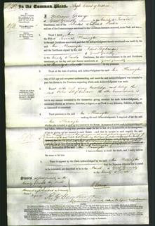Court of Common Pleas - Ann Flaxington-Original Ancestry