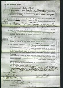 Court of Common Pleas - Mary Morgan-Original Ancestry