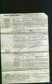 Court of Common Pleas - Elizabeth Coke-Original Ancestry