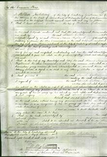 Court of Common Pleas - Sarah Gillow-Original Ancestry