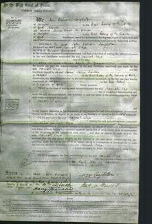 Court of Common Pleas - Hannah Eliza Greenwood-Original Ancestry