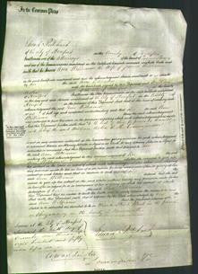 Court of Common Pleas - Ann Williams-Original Ancestry