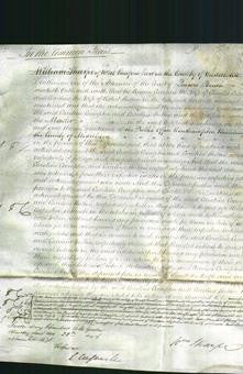 Court of Common Pleas - Caroline Crompton and Caroline Hutton-Original Ancestry