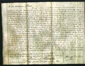 Court of Common Pleas - Diana Saunders-Original Ancestry