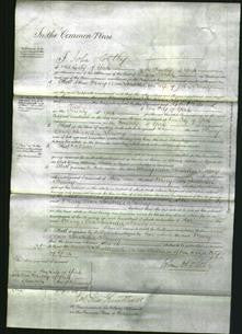 Court of Common Pleas - Mary Ann Isabella Hanna Dowey-Original Ancestry