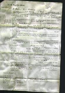 Court of Common Pleas - Ann Butt-Original Ancestry