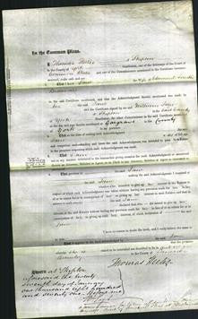 Court of Common Pleas - Jane Bracewell-Original Ancestry