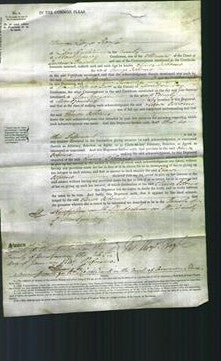 Court of Common Pleas - Elinor Osborne-Original Ancestry