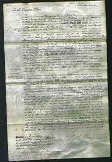 Court of Common Pleas - Elizabeth Phillips, Sarah Ann Rawlings-Original Ancestry