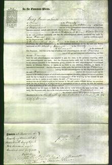 Court of Common Pleas - Frances Harvey-Original Ancestry