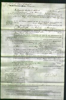 Court of Common Pleas - Eliza Mae Ilquham-Original Ancestry