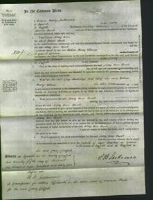 Court of Common Pleas - Mary Ann Brook-Original Ancestry