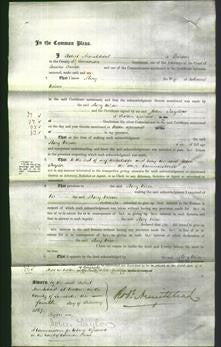 Court of Common Pleas - Mary Wilson-Original Ancestry