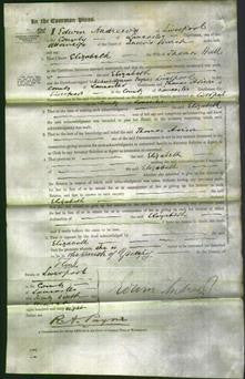 Court of Common Pleas - Elizabeth Hall-Original Ancestry