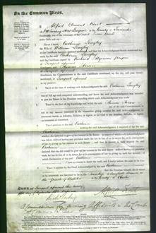 Court of Common Pleas - Catherine Langley-Original Ancestry