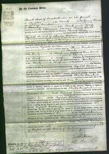 Court of Common Pleas - Elizabeth Woollam-Original Ancestry