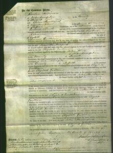 Court of Common Pleas - Elizabeth Gwilliam-Original Ancestry