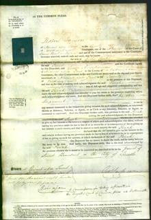 Court of Common Pleas - Sarah Curtis-Original Ancestry