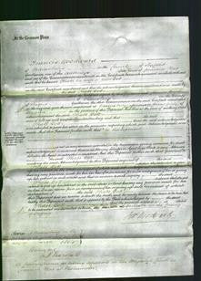 Court of Common Pleas - Phoebe Bott-Original Ancestry