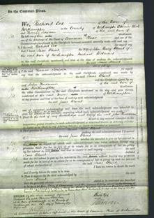 Court of Common Pleas - Jane Blunt-Original Ancestry