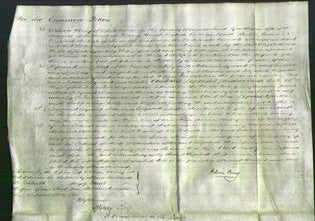 Court of Common Pleas - Elizabeth Gunson-Original Ancestry