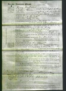Court of Common Pleas - Ann Elizabeth Bickley-Original Ancestry