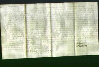 Court of Common Pleas - Elizabeth Duncan-Original Ancestry