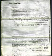 Court of Common Pleas - Jane Cokey-Original Ancestry