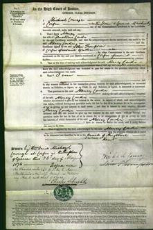 Court of Common Pleas - Mercy Condi-Original Ancestry