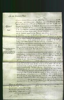 Court of Common Pleas - Mary Walker-Original Ancestry