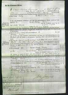 Court of Common Pleas - Betsey Dixon-Original Ancestry