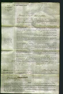 Court of Common Pleas - Eliza Fearn-Original Ancestry