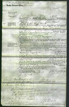 Court of Common Pleas - Mary Sarah Sissons Perry Banks-Original Ancestry