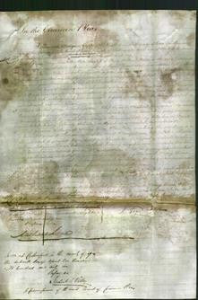 Court of Common Pleas - Mary Ann Ellen Petre-Original Ancestry