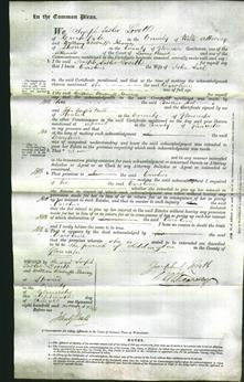 Court of Common Pleas - Caroline Joel-Original Ancestry