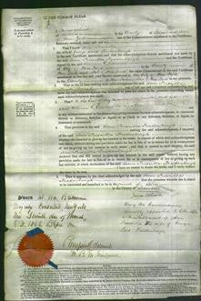 Court of Common Pleas - Ann Priscilla Fradenburgh-Original Ancestry