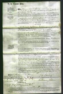 Court of Common Pleas - Mary Catherine Philipps-Original Ancestry