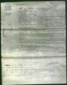 Court of Common Pleas - Elizabeth Slater-Original Ancestry